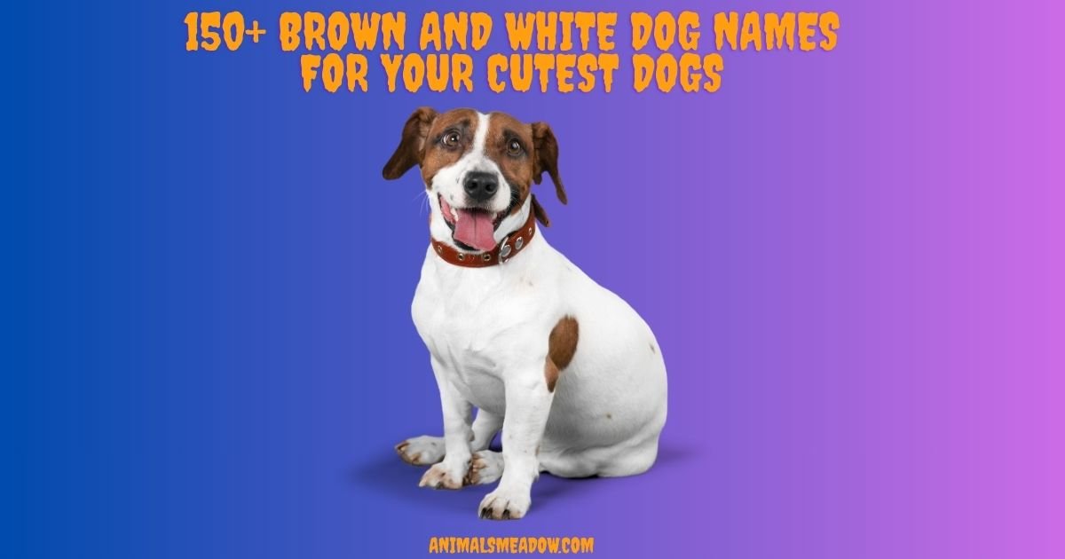 Brown and White Dog Names