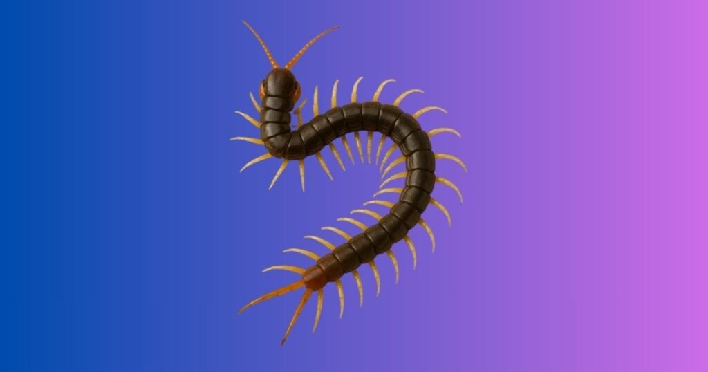 Healing and Regeneration