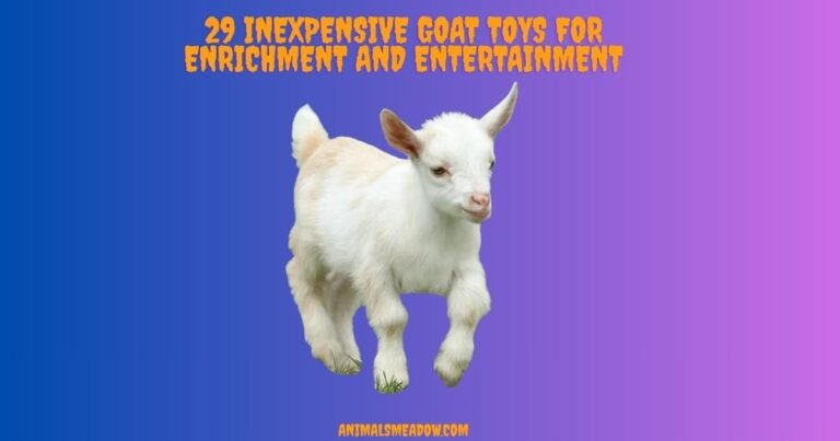 Goat Toys for Enrichment and Entertainment