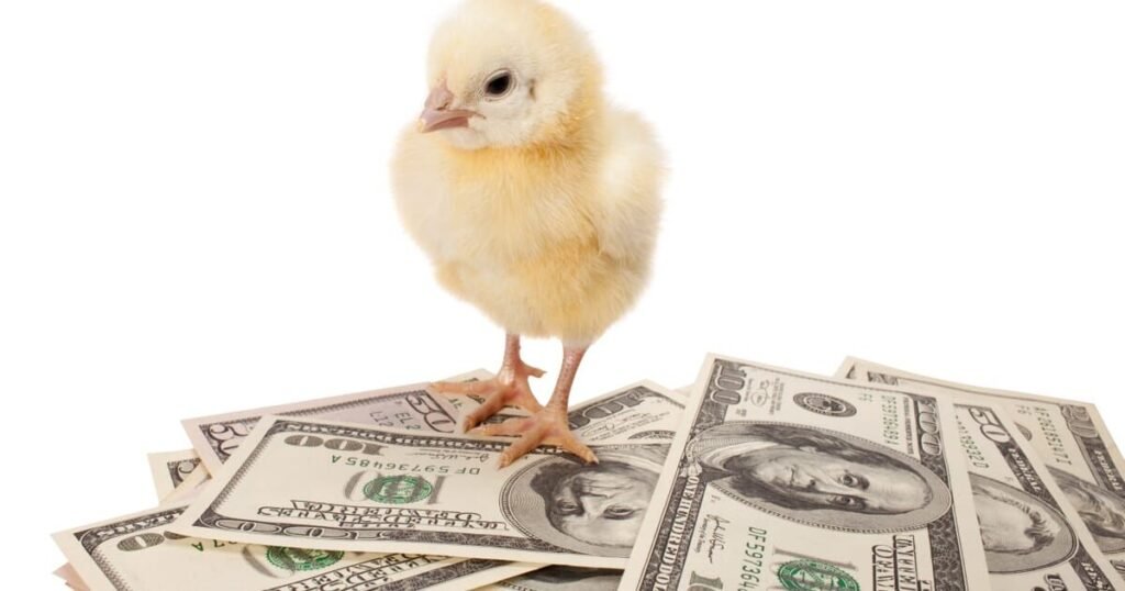 How To Sell Chicken Manure