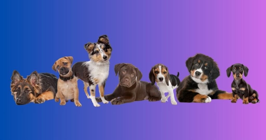 Does a Dog Eat Dead Puppies?