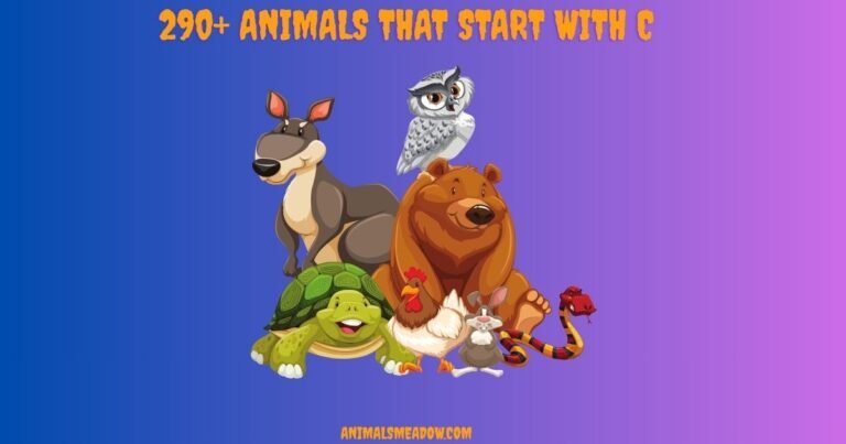 Animals That Start With C