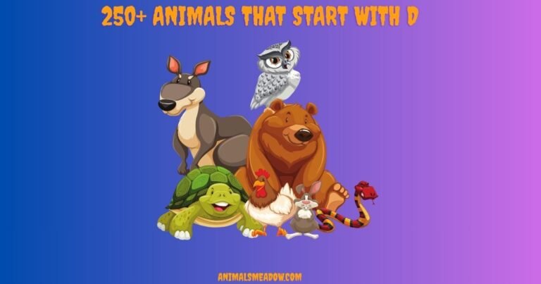 Animals That Start With d