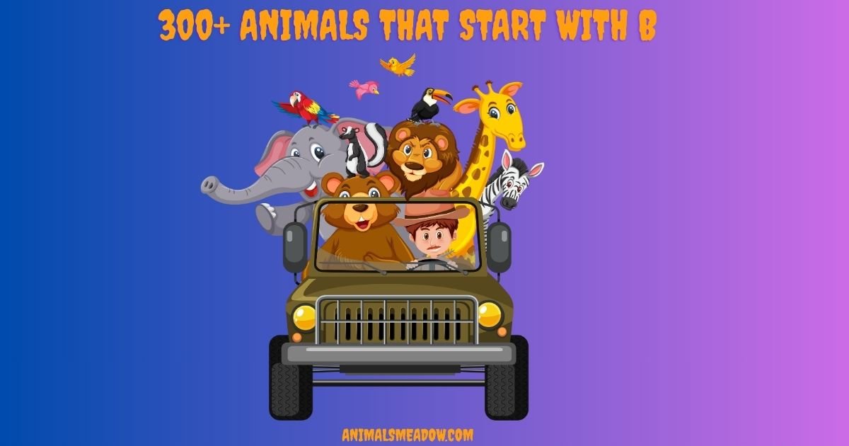 Animals that Start with B