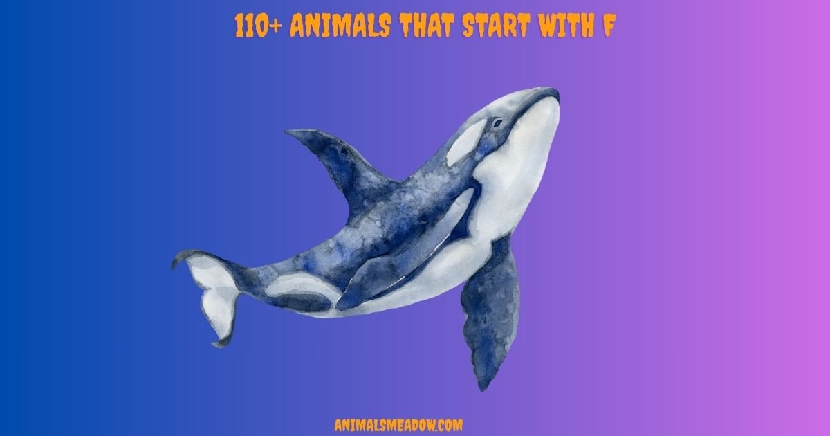 Animals that Start with F