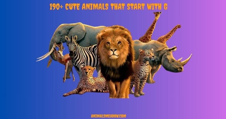 Animals that Start with G