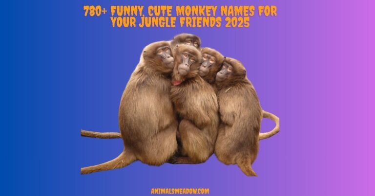 Monkey Names