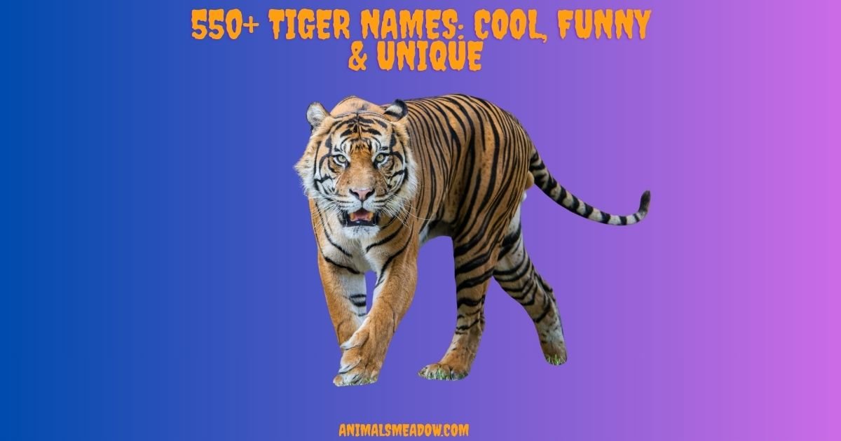 Tiger Names