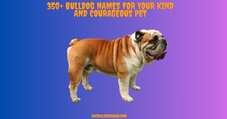 Bulldog Names