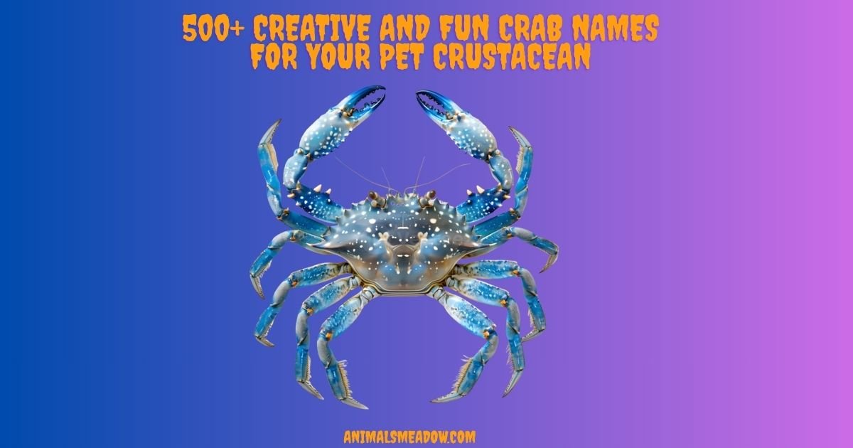 Crab Names