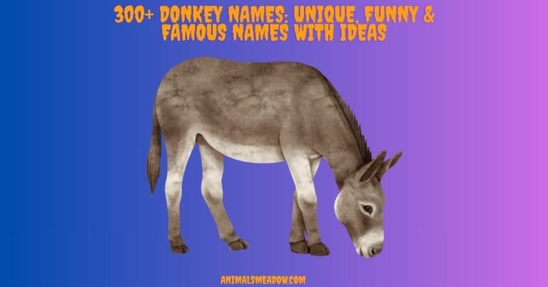 Donkey Names