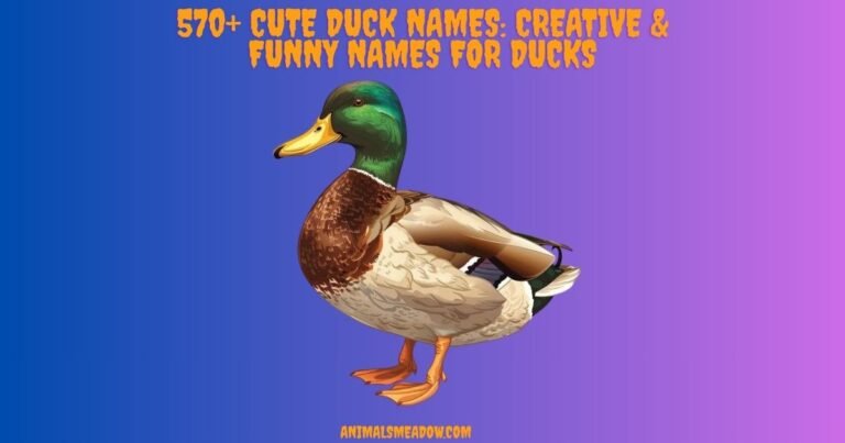 Duck Names