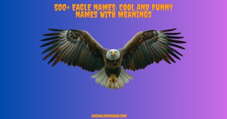 Eagle Names