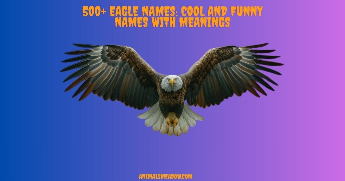 Eagle Names