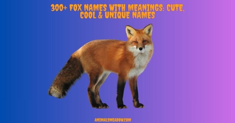 Fox Names
