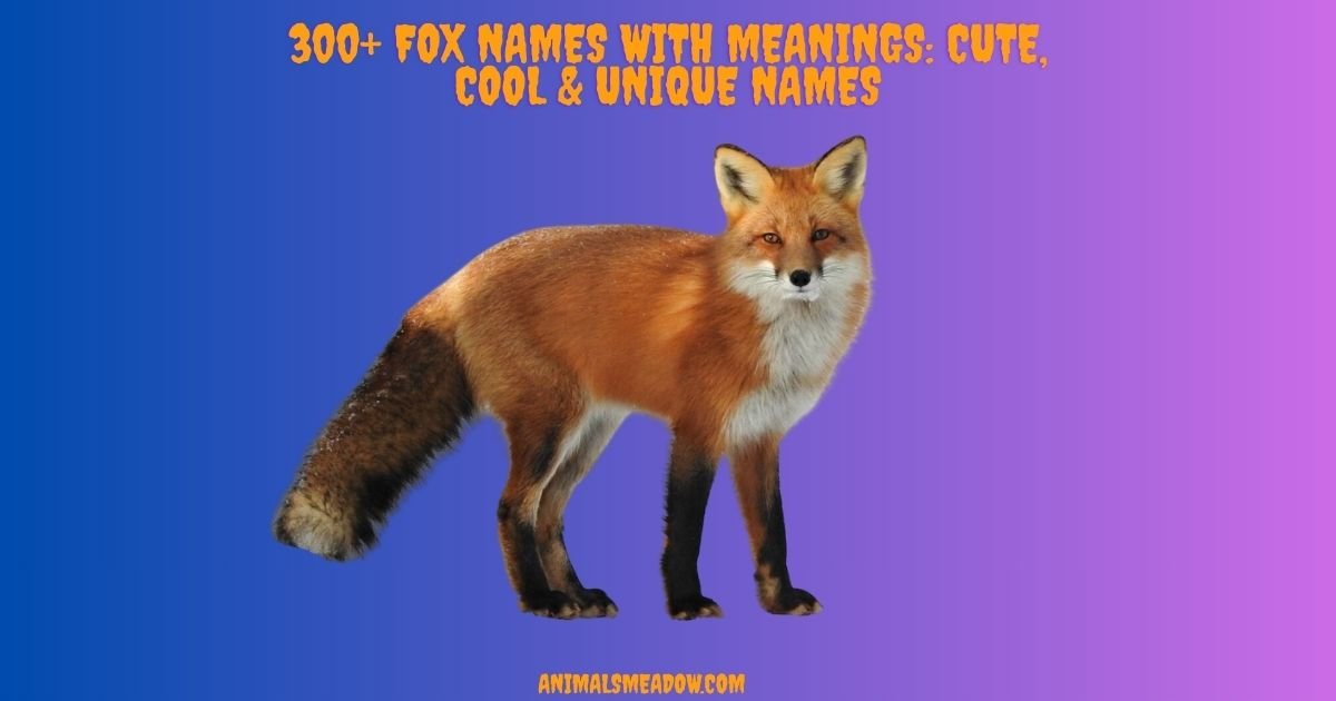 Fox Names