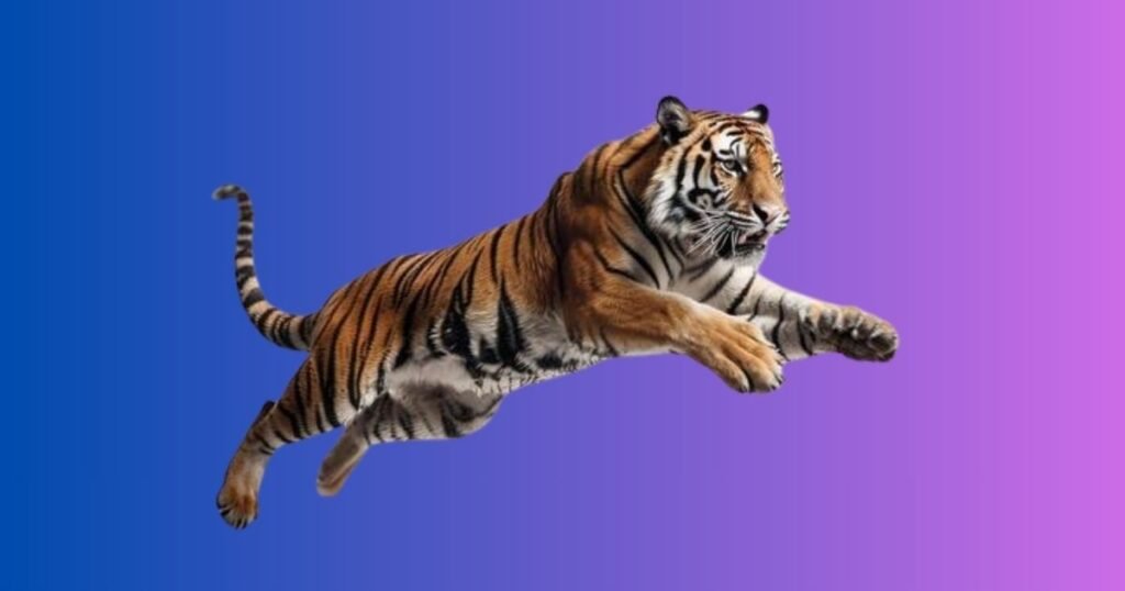 Funny Nicknames for Tigers