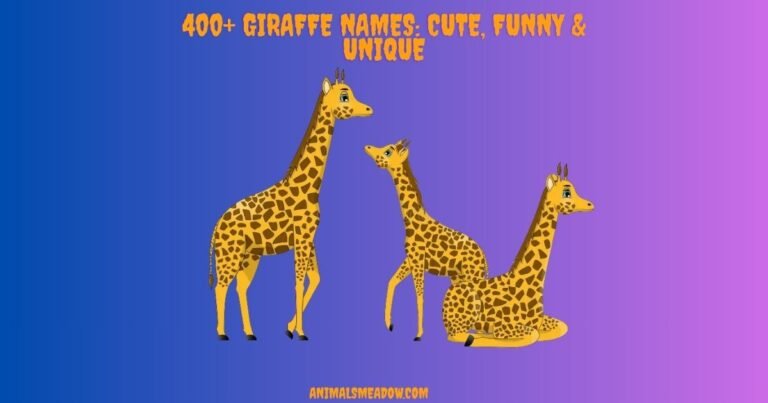 Giraffe Names