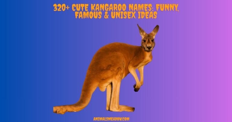 Kangaroo Names