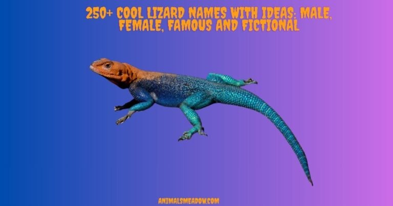 Lizard Names
