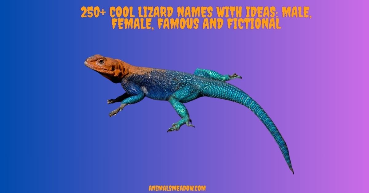 Lizard Names