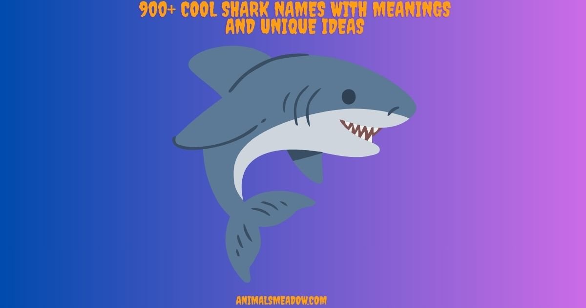 Shark Names
