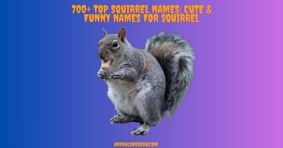 Squirrel Names
