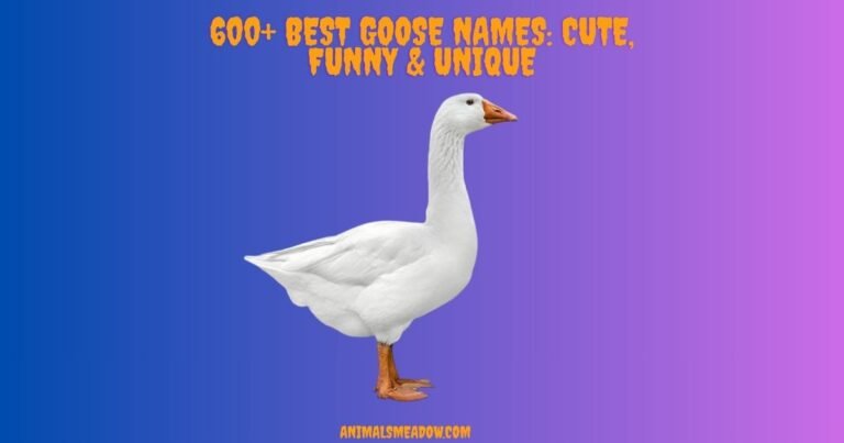 Goose Names