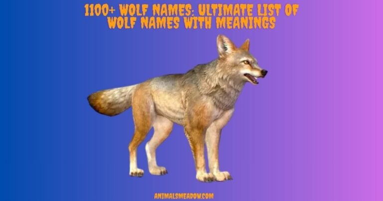Wolf Names