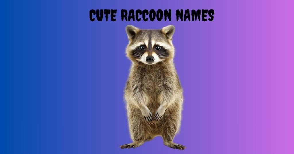 Cute Raccoon Names
