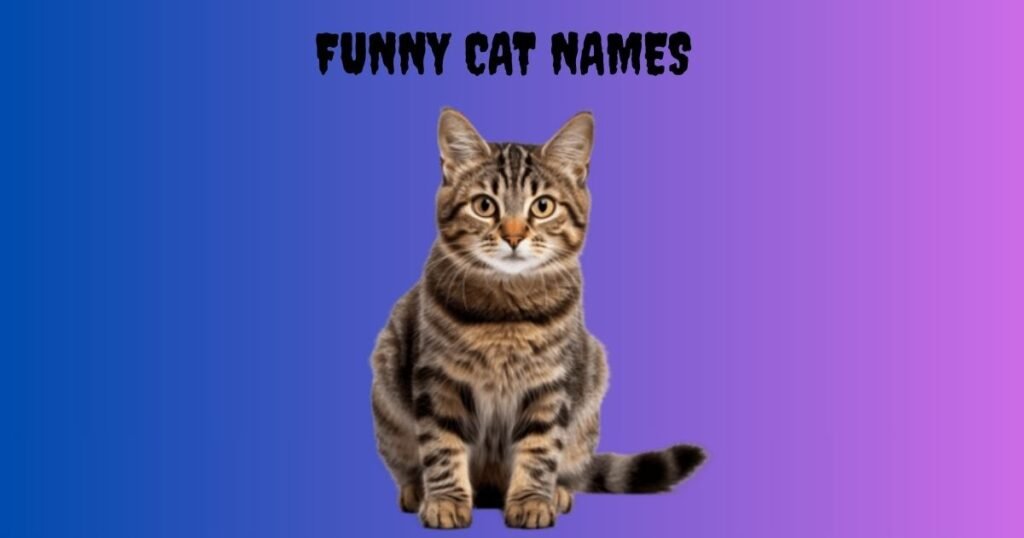 Funny Cat Names
