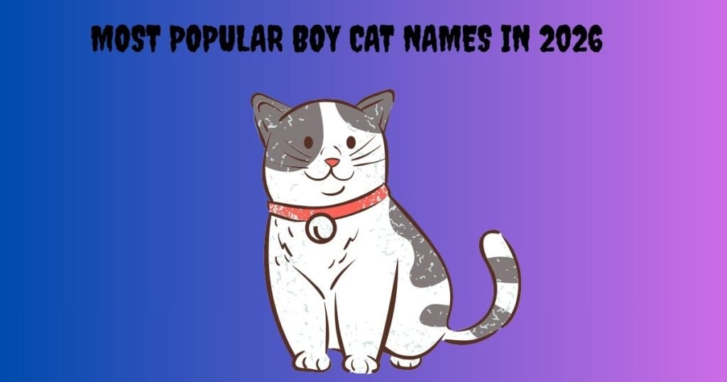 Most Popular Boy Cat Names in 2026