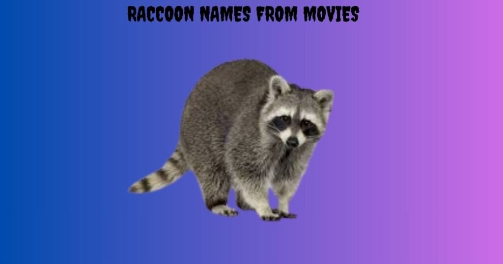 Raccoon Names from Movies